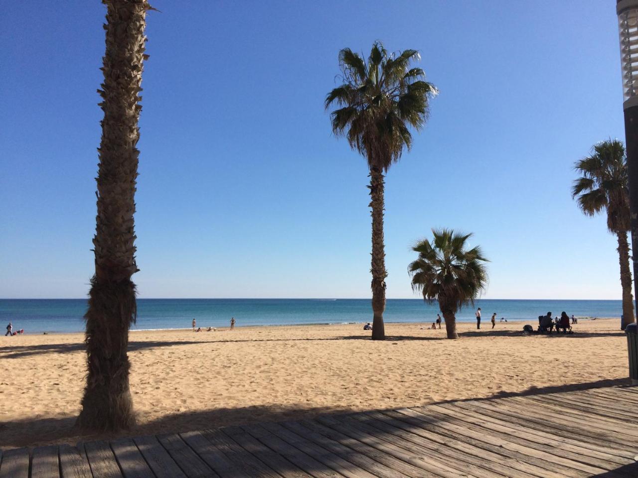 Ardi Casa Apartman La Mata  Kültér fotó